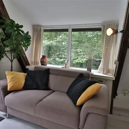 Pluimstaart - Sunclass 55 デュルビュイ