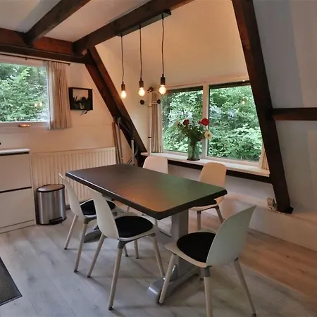 Pluimstaart - Sunclass 55 * 더뷔