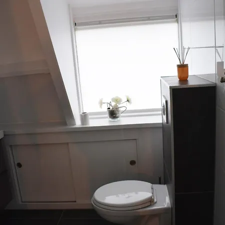 Pluimstaart - Sunclass 55 더뷔