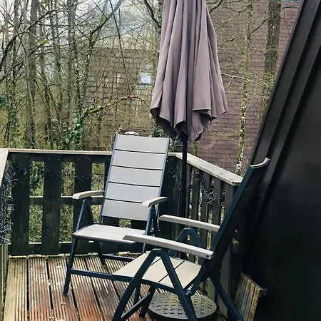 Pluimstaart - Sunclass 55 더뷔