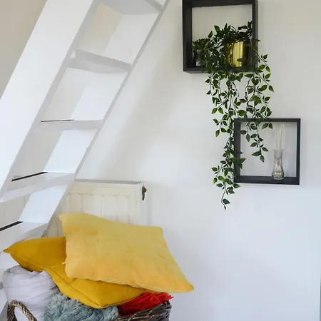 샬레 Pluimstaart - Sunclass 55 더뷔