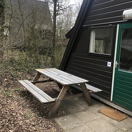 Pluimstaart - Sunclass 55