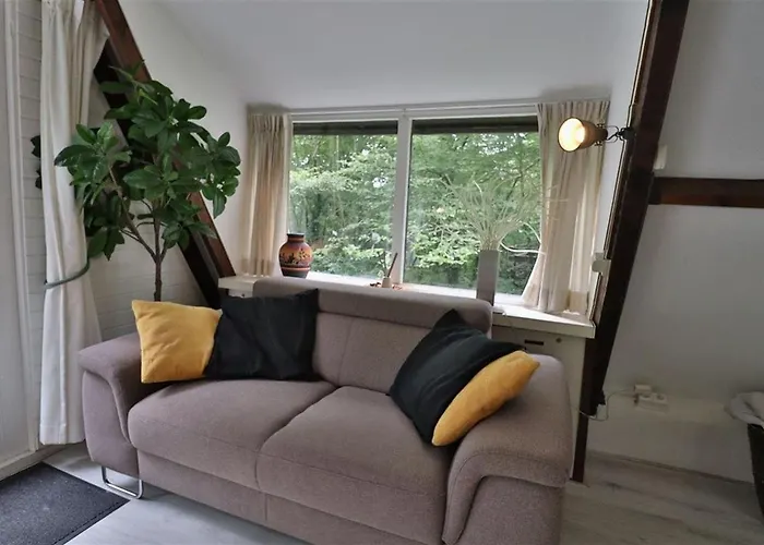 Pluimstaart - Sunclass 55 杜柏